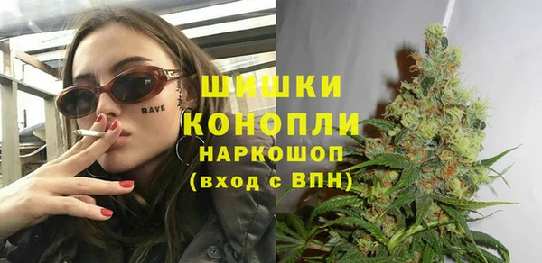 стафф Осинники