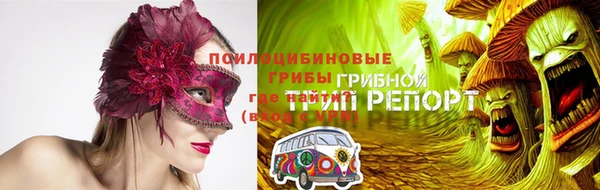 твердый Алексин