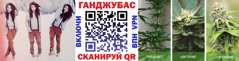 продажа наркотиков  Таштагол  Канабис гибрид 